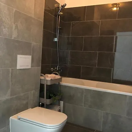 Apartment Luxury Lavender Gorgeous Terrace Free Undg Parking