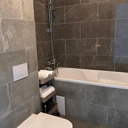 Luxury Lavender Gorgeous Terrace Free Undg Parking * Timişoara