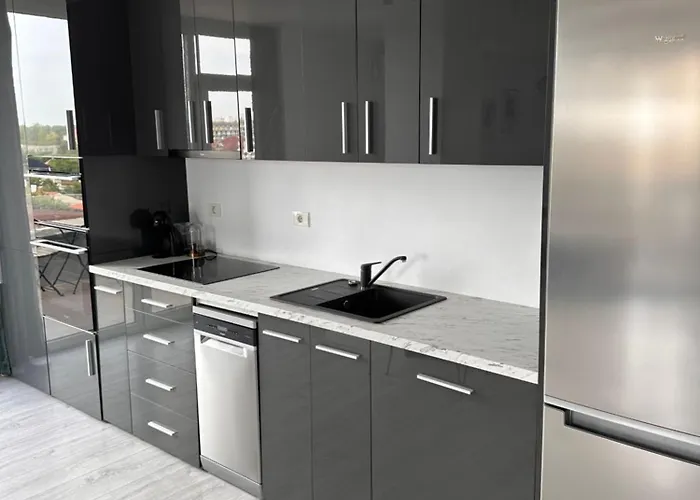 Apartment Luxury Lavender Gorgeous Terrace Free Undg Parking *